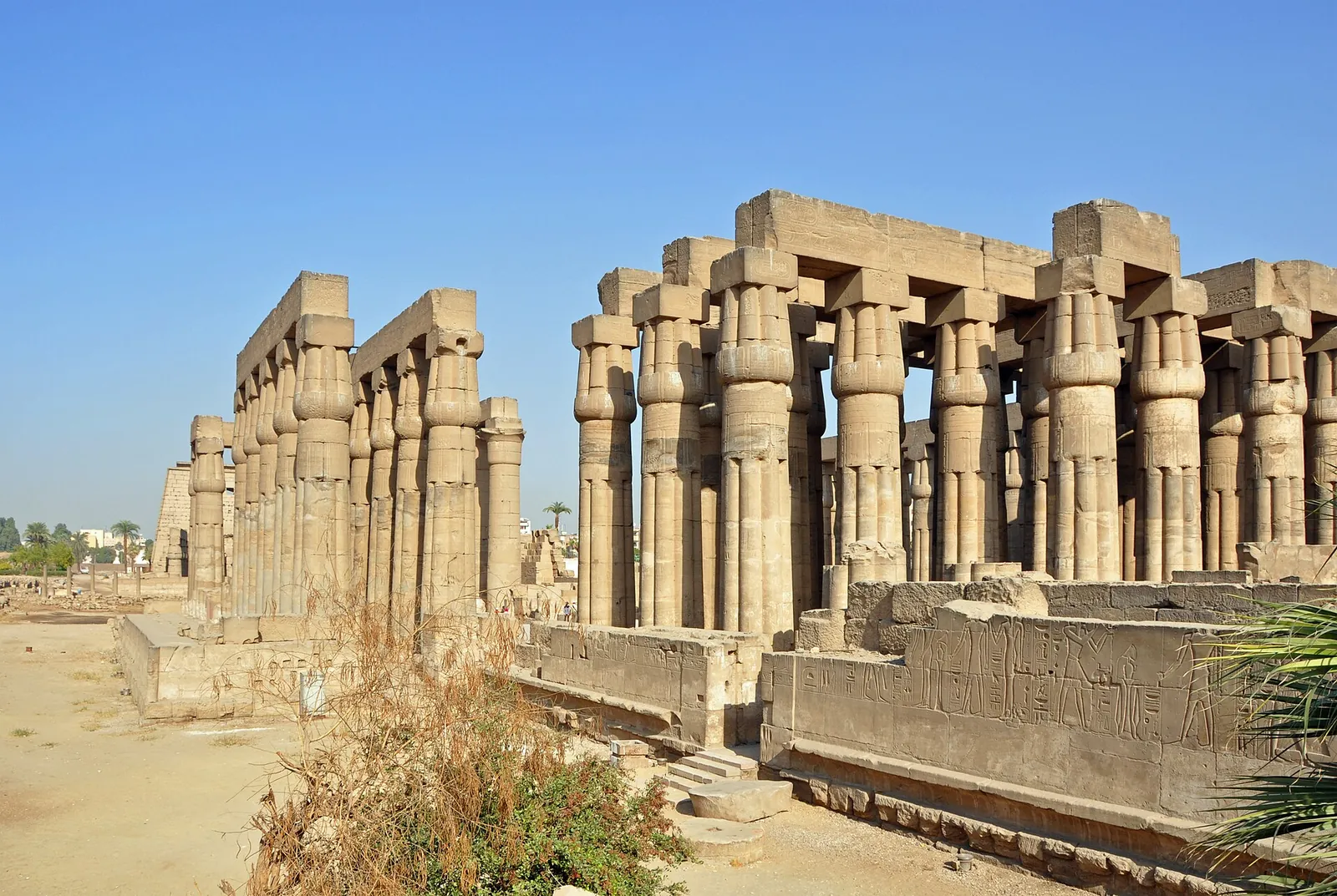 Courtyard and columns at Luxor Temple